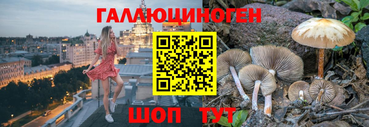 Галлюциногенные грибы Psilocybe  Вход с VPN  Карасук 